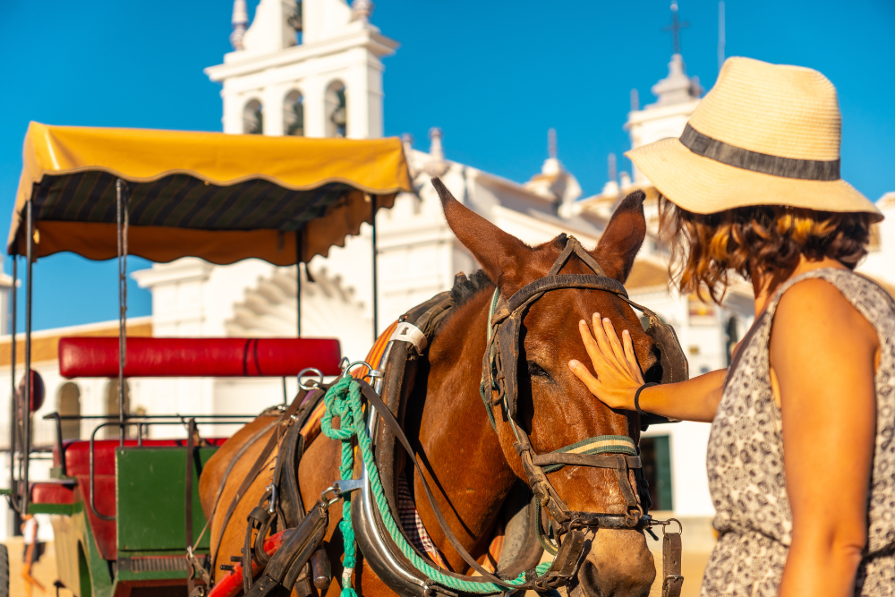 Woman in a hat petting a horse attached to a carriage in front of a white building on a sunny day.