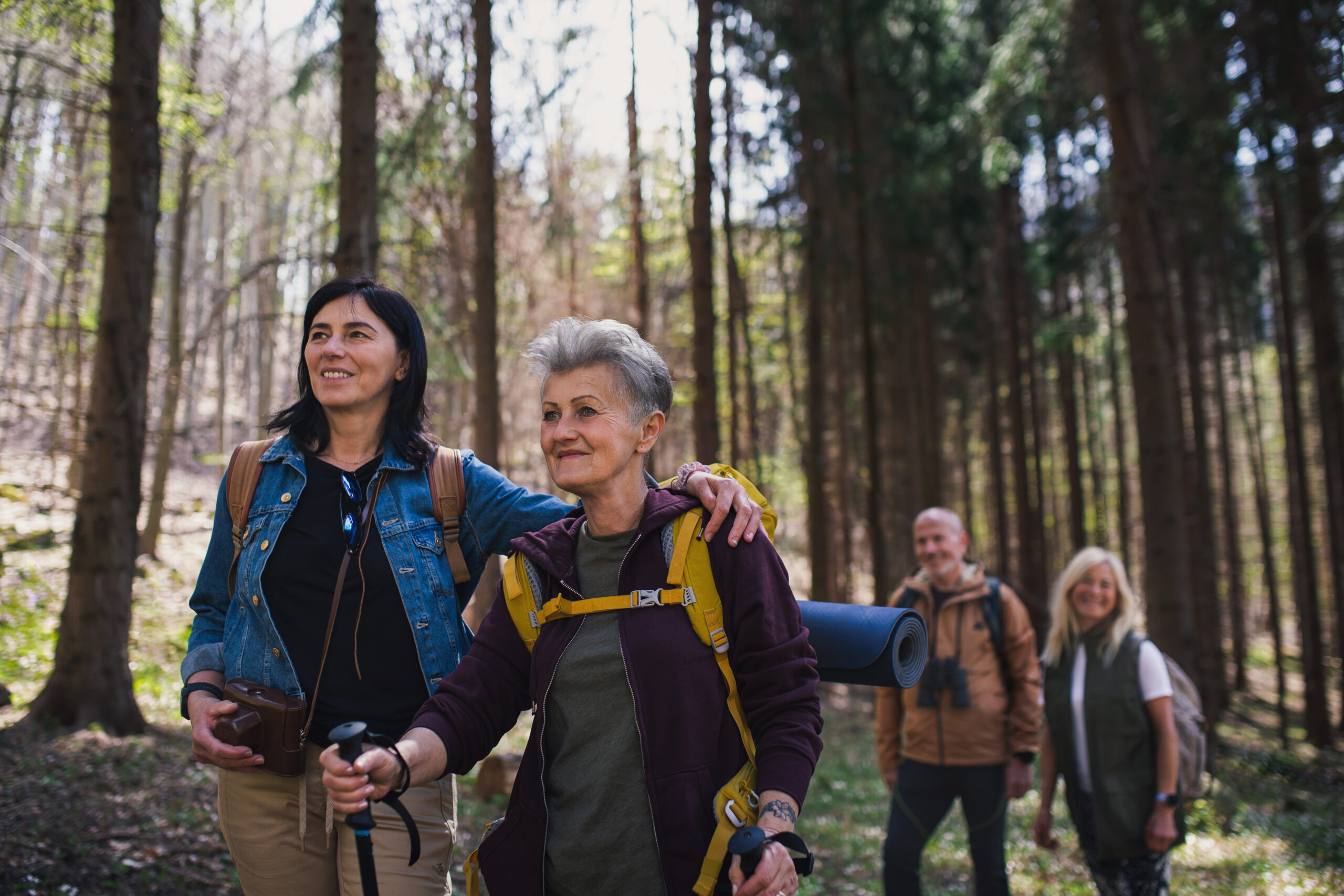 Group of senior hikers outdoors in a forest enjoying nature